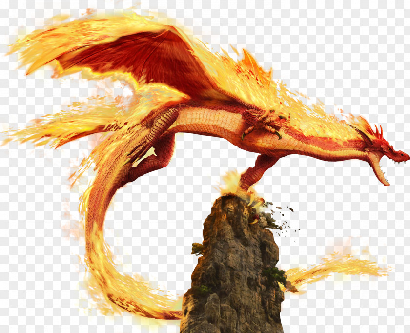Dragon City Dragons Fire Clip Art Smaug Image PNG