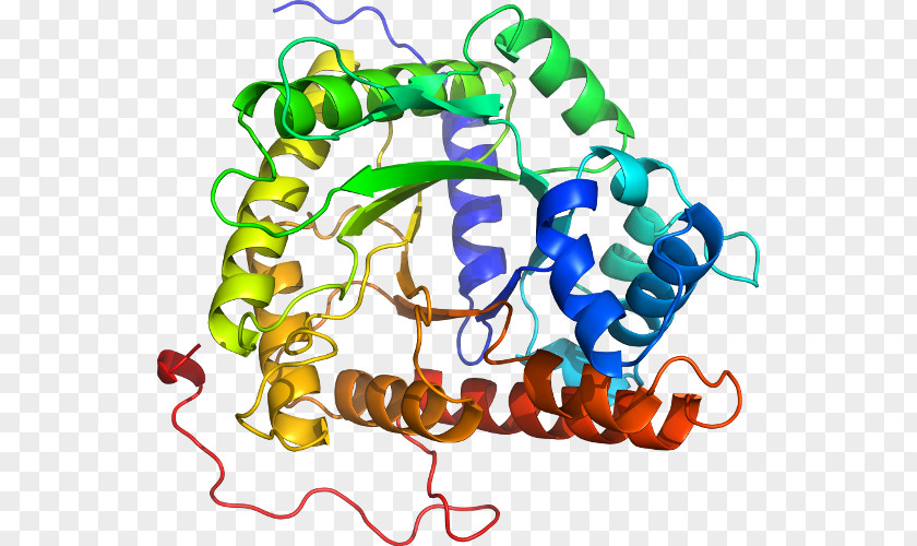 Fructose-bisphosphate Aldolase B Fructokinase Fructose 1-phosphate PNG