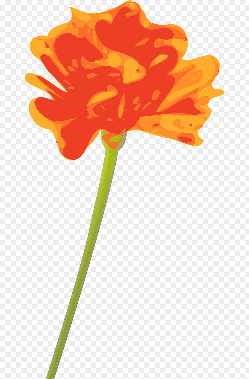 Marigold Flower Orange Clip Art PNG