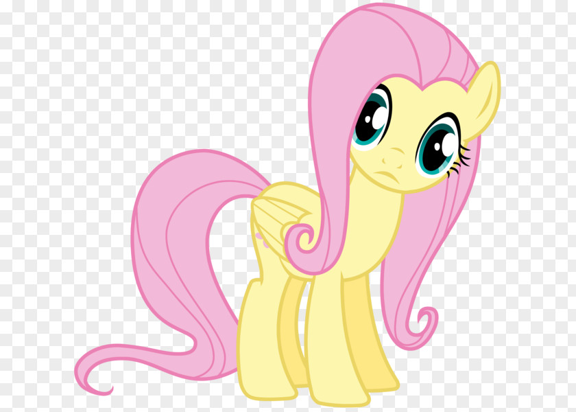 My Little Pony Fluttershy Rarity Pinkie Pie Rainbow Dash PNG