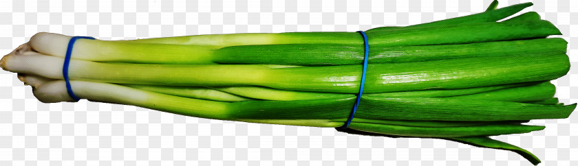 Plant Vegetable Green PNG