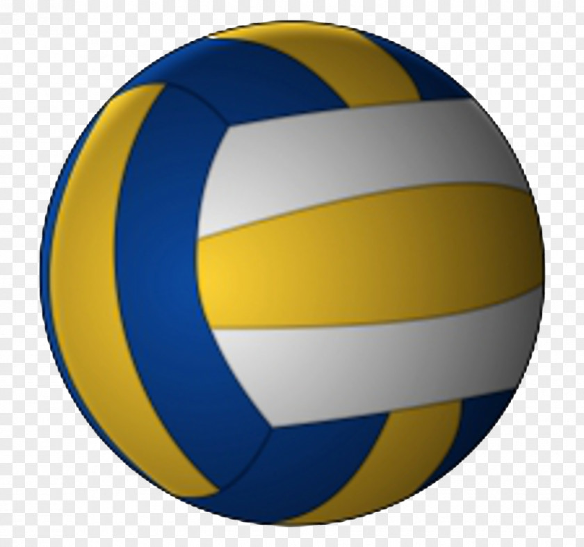 Volleyball Wallyball Sport PNG