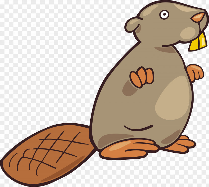 Biscuit Beaver Drawing Clip Art PNG