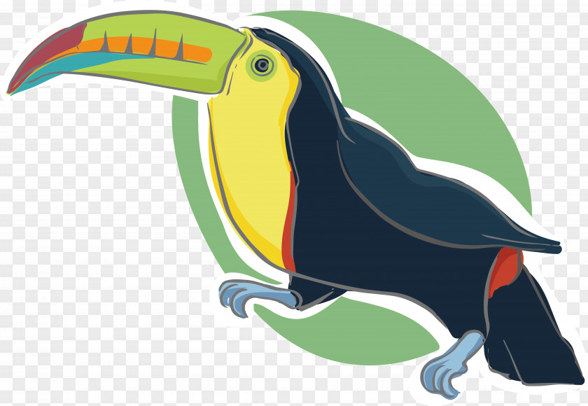 Cartoon Parrot Design Motion Graphics Animation PNG