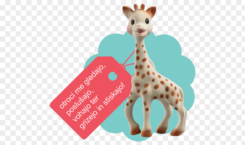 Giraffe Sophie The Teether Infant Vulli S.A.S. PNG