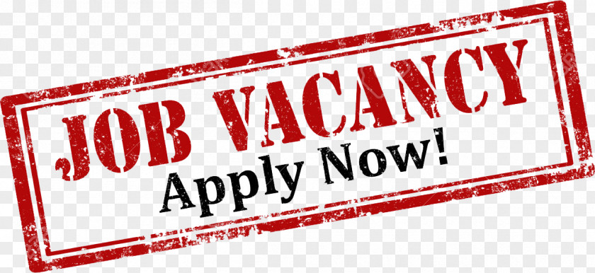 Job Clerk Organization Recruitment Education PNG