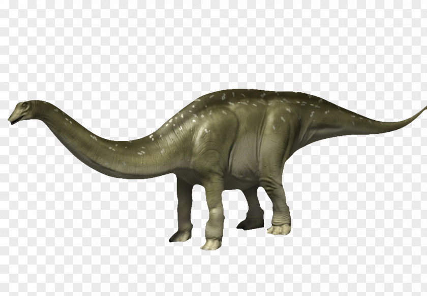 Long Tailed Dinosaur Tyrannosaurus PNG