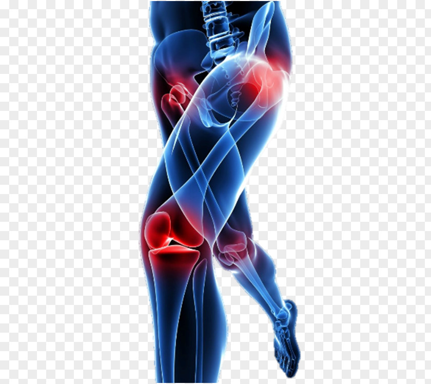 Low Back Pain Knee Management Neck PNG