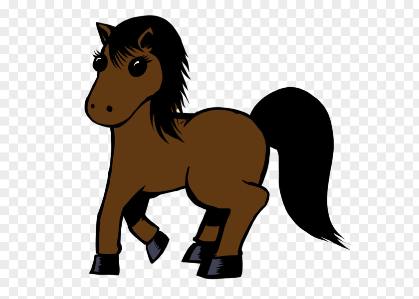 Mustang Pony Foal Mane Stallion PNG