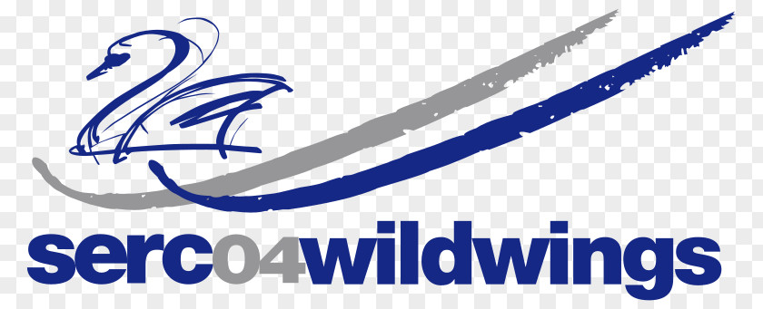 Scorpion Logo With Wing Schwenninger Wild Wings Villingen-Schwenningen PNG