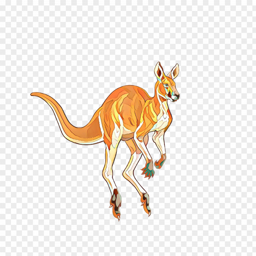 Stock Photography Red Kangaroo Macropods Illustration PNG