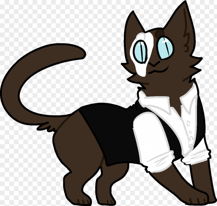 The Phantom Of Opera: Cat Kitten Whiskers Mammal Dog PNG