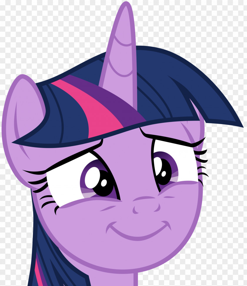 Twilight Sparkle Pony Spike Applejack Art PNG