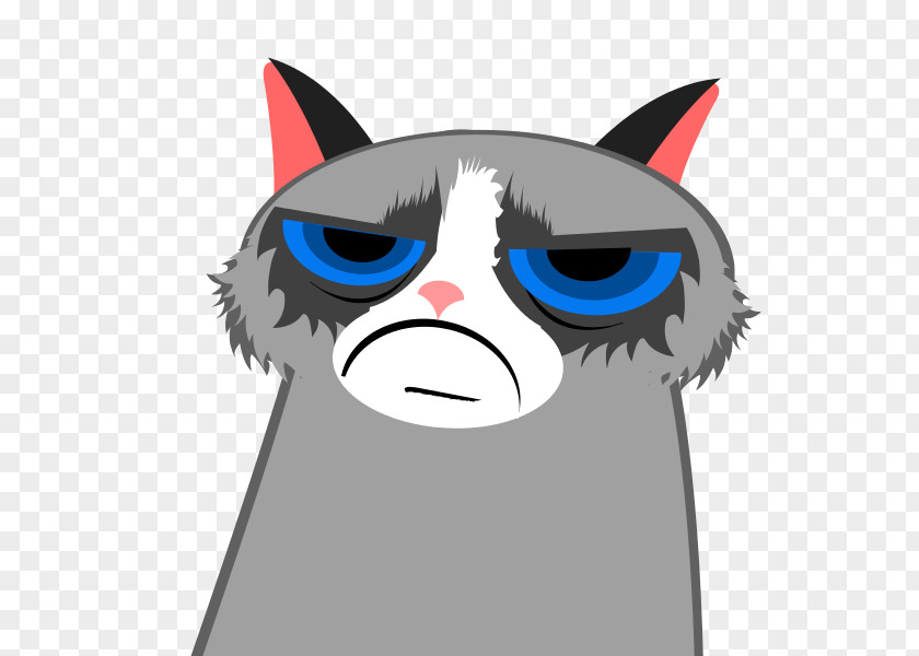 Cat Whiskers Grumpy Call Of Duty: Black Ops II WWII PNG