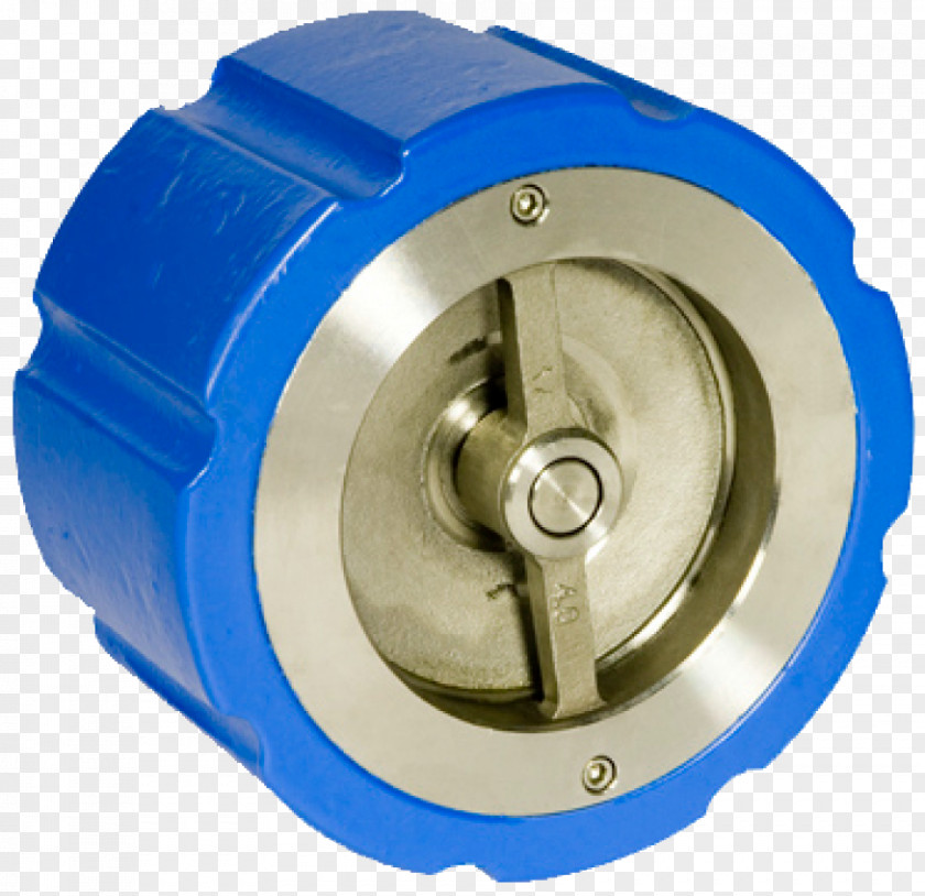 Check Valve Butterfly Gate Ductile Iron PNG