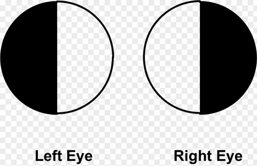Eye Circle Point Angle PNG