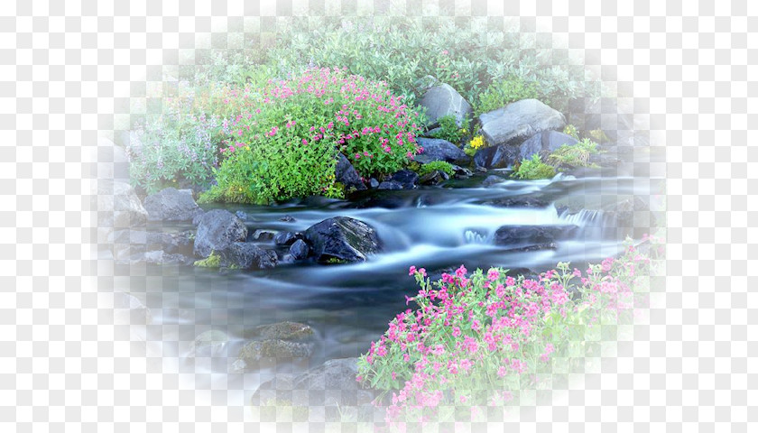 Garden Center Paradise River Desktop Wallpaper Nature Landscape PNG