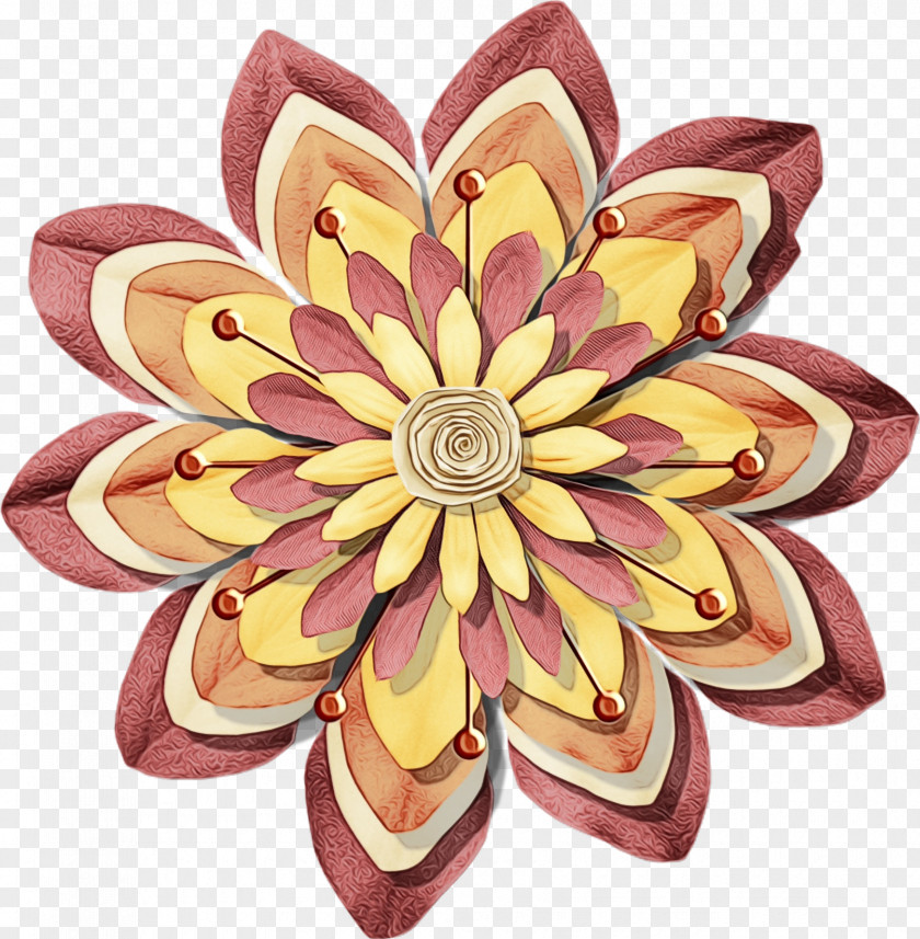 Sacred Lotus Cut Flowers Flower Petal Pink Plant Family PNG