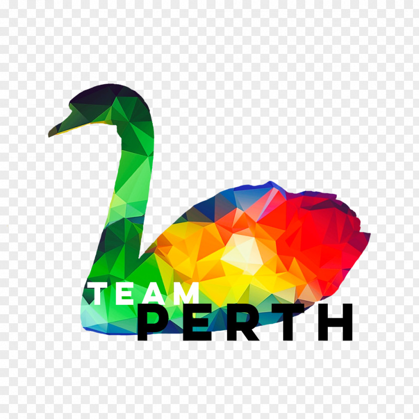 Brisbane Community Pool Perth Logo Sports Download Honour PNG