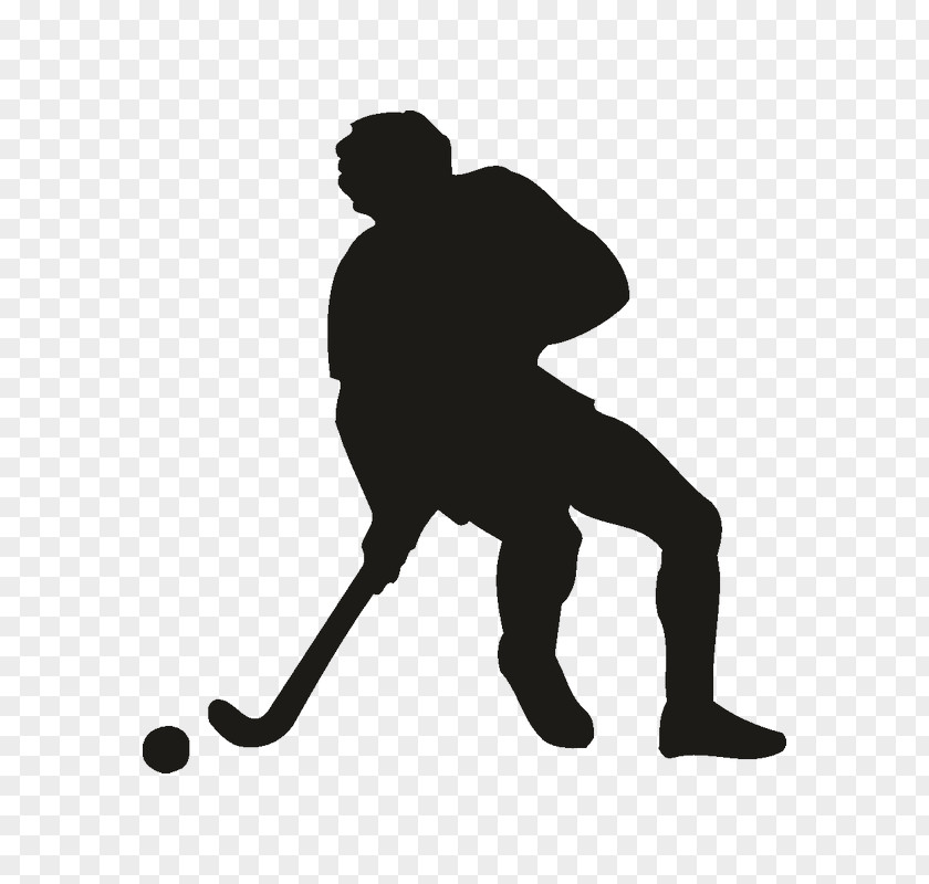 Hockey Ice Wall Decal Sport Field PNG