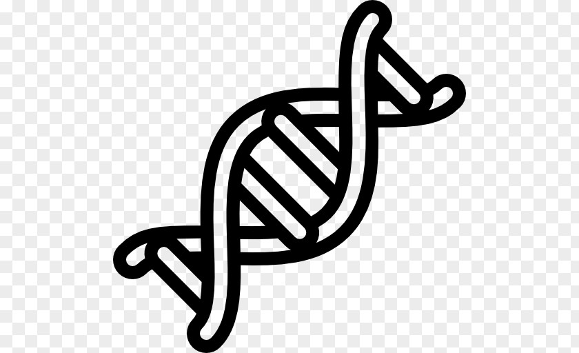 Nucleic Acid Double Helix DNA RNA Genetics PNG