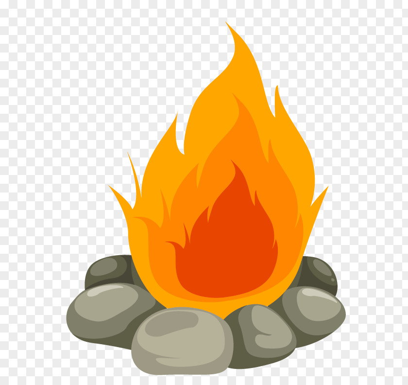 Pictures Of Camp Fires Bonfire Cartoon Campfire PNG