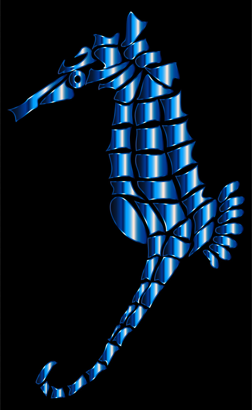 Seahorse Silhouette PNG