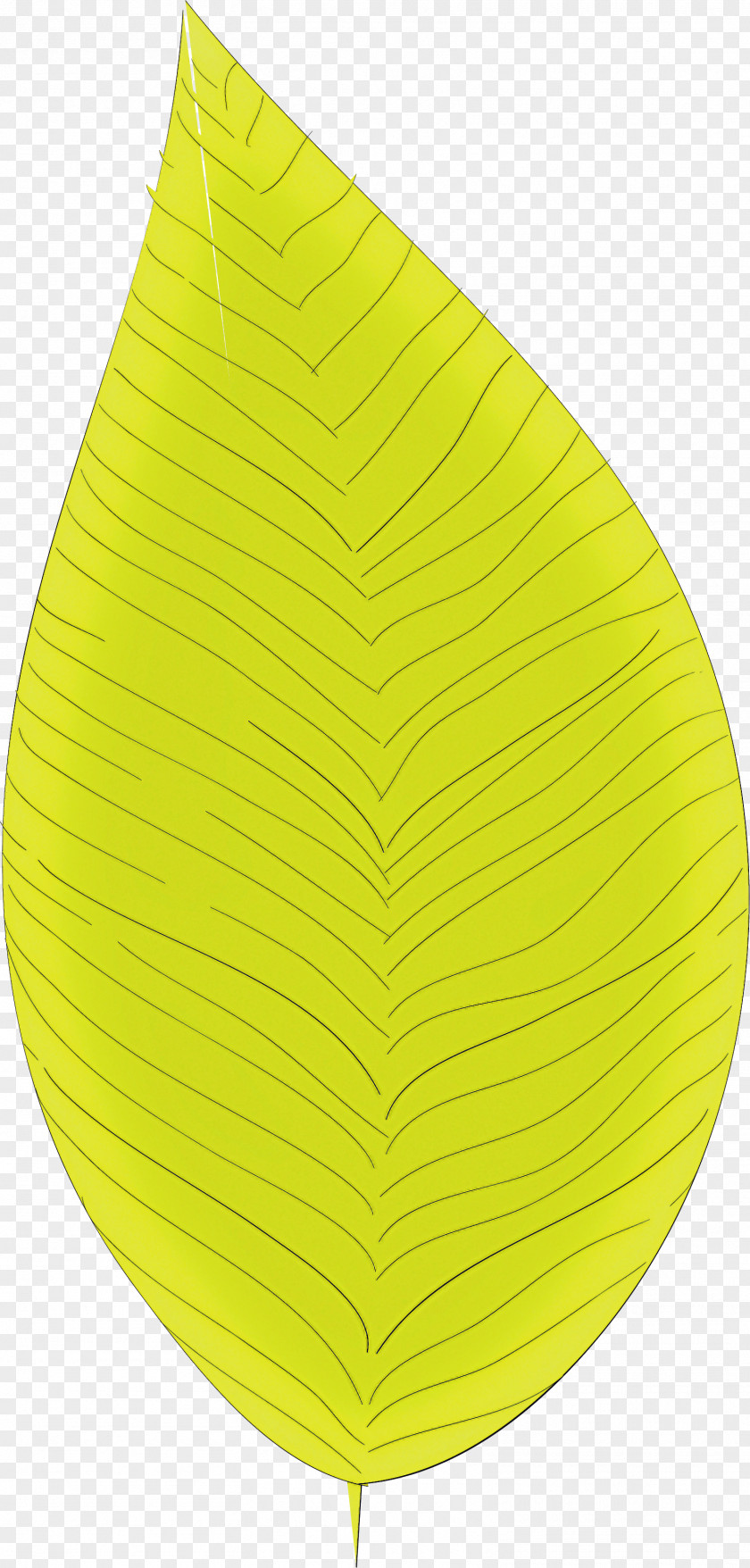 Simple Leaf Drawing Outline PNG