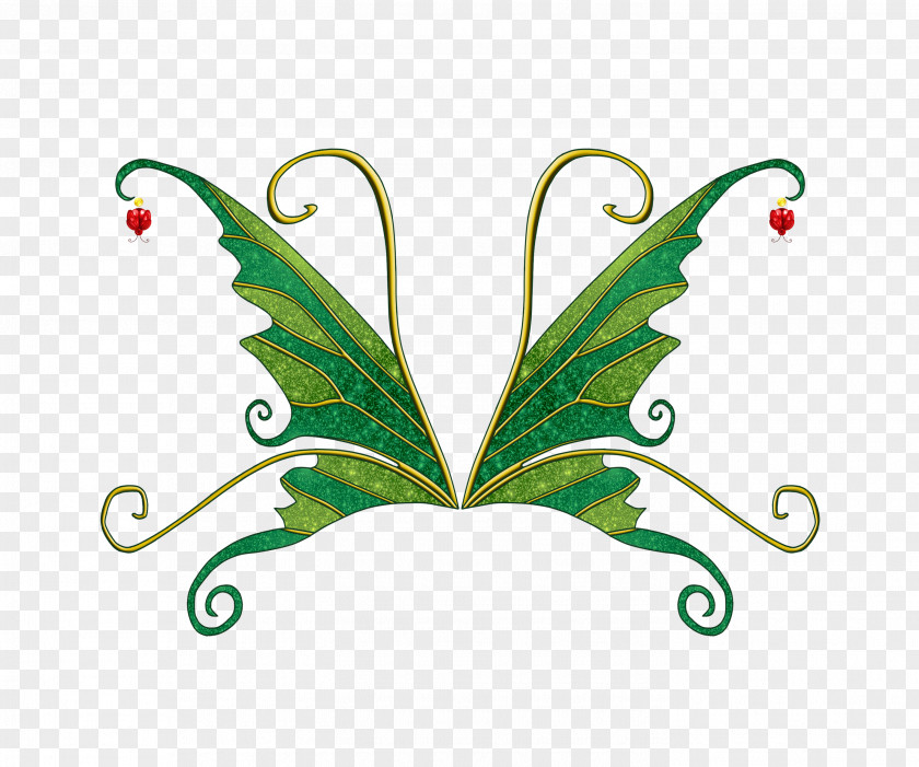 Butterfly Art Clip PNG