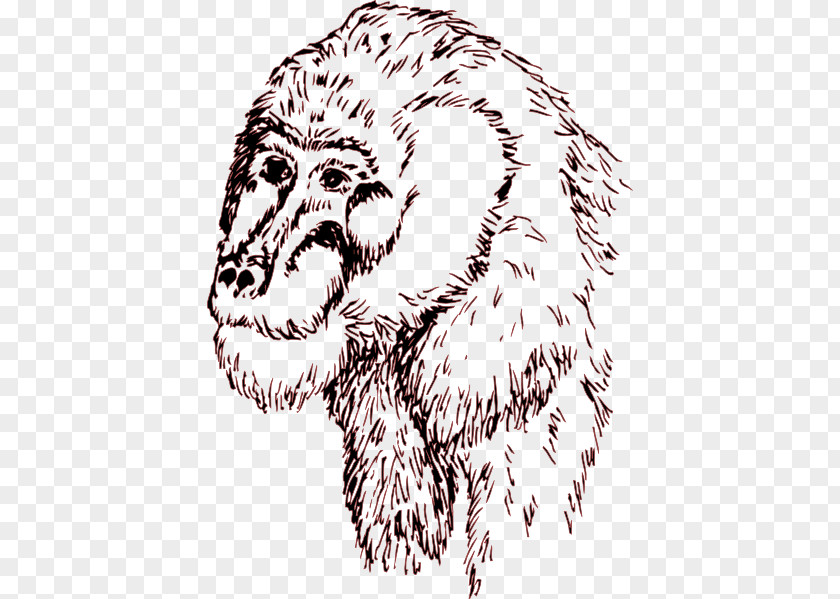 Chimpanzee Sketch Lion Clip Art Drawing PNG