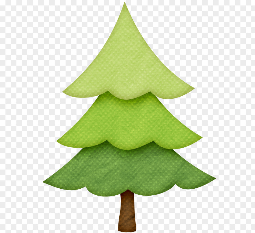 Christmas Tree Fir Camping Clip Art PNG