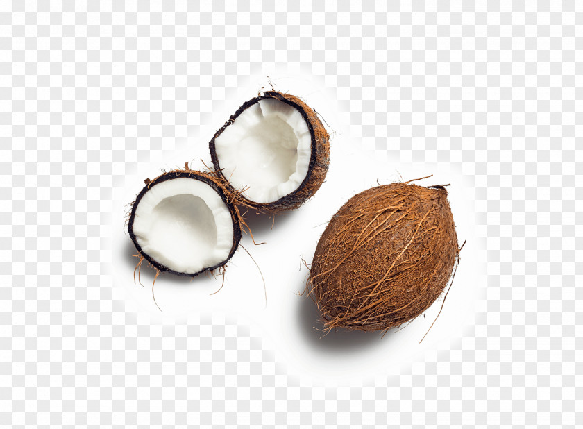 Coconut Water Milk Soy PNG