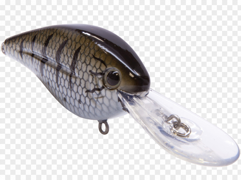 Fish Spoon Lure Fishing Baits & Lures Tournament PNG