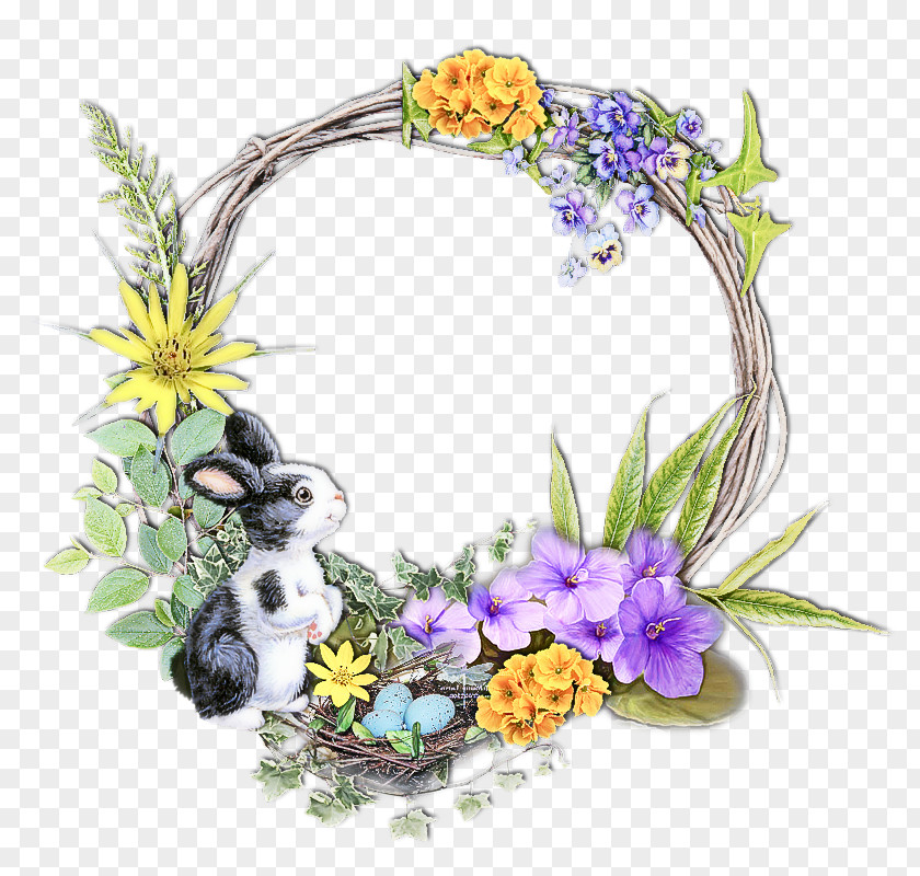 Flower Plant Wildflower Violet Family Viola PNG