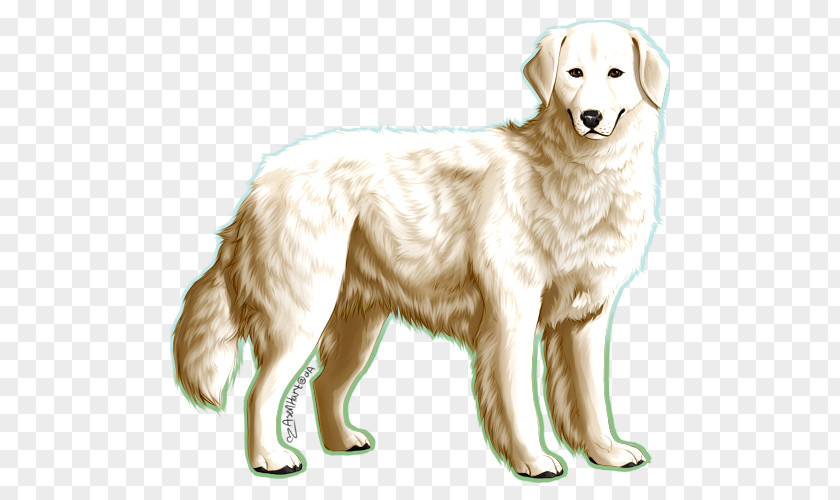 Furry Paws Golden Retriever Maremma Sheepdog Polish Tatra Kuvasz Dog Breed PNG