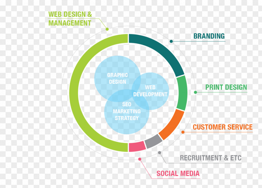 Graphic Designer Cv Brand Logo Organization PNG