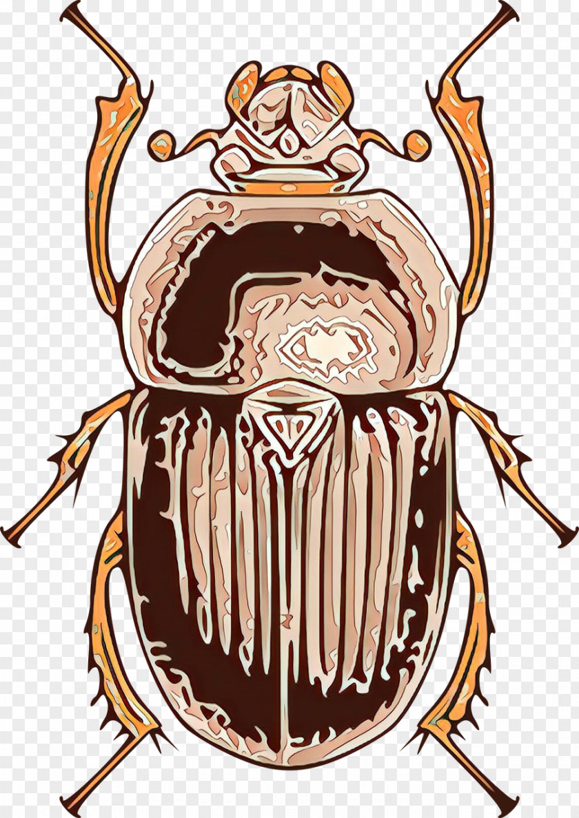 Insect Cartoon Beetle Stag Beetles Cockroach PNG