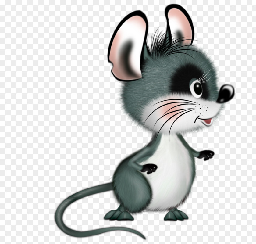 Mouse Cartoon Image Pull Free Rat Food Chain Rodent Muroidea PNG