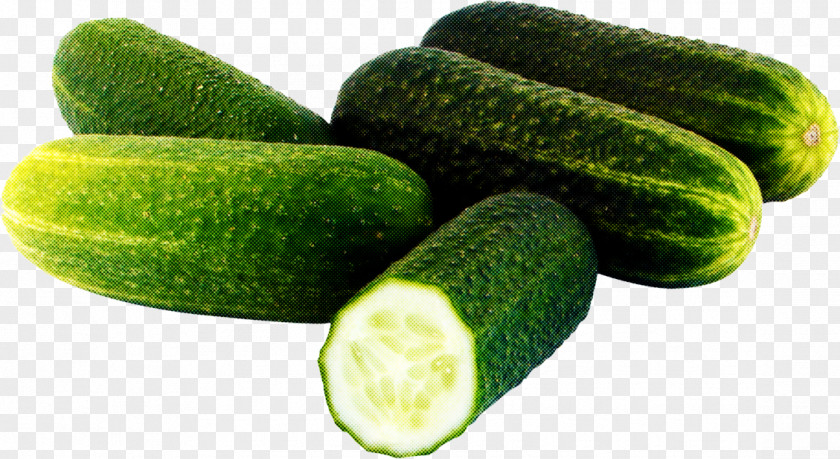Natural Foods Cucumis Vegetable Plant Cucumber Cucumber, Gourd, And Melon Family Zucchini PNG
