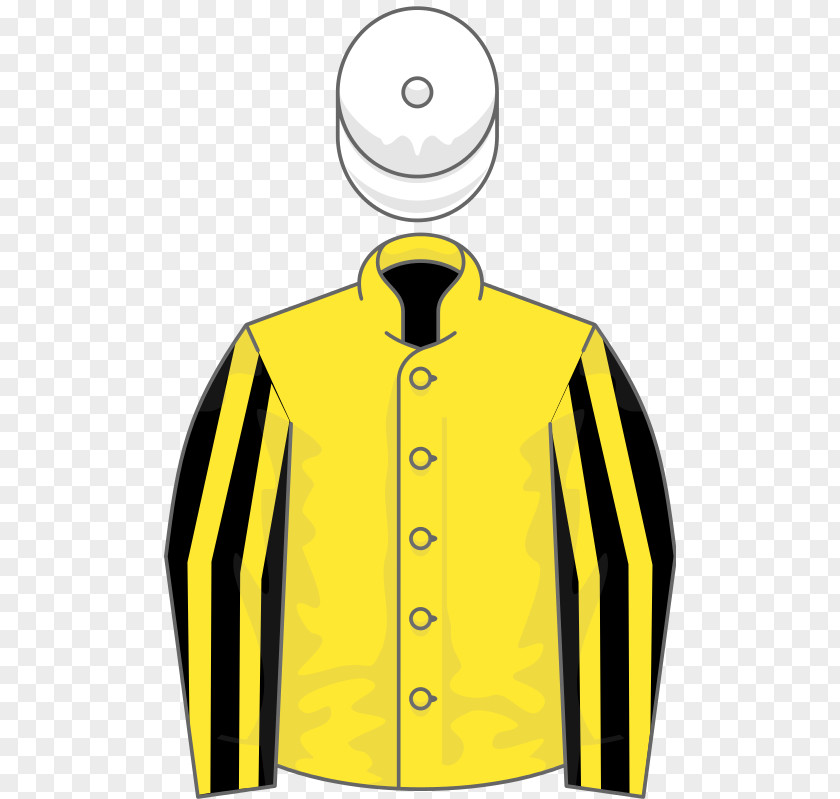 T-shirt Yellow Jacket Sleeve Horse PNG