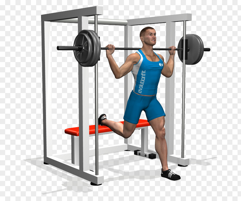 Barbell Squat Lunge Exercise Machine Quadriceps Femoris Muscle PNG