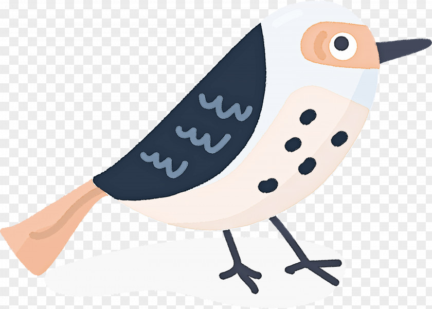 Beak Cartoon PNG