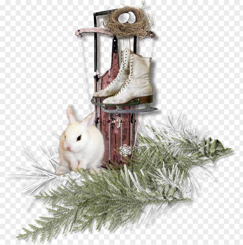 Christmas Domestic Rabbit Ornament PNG