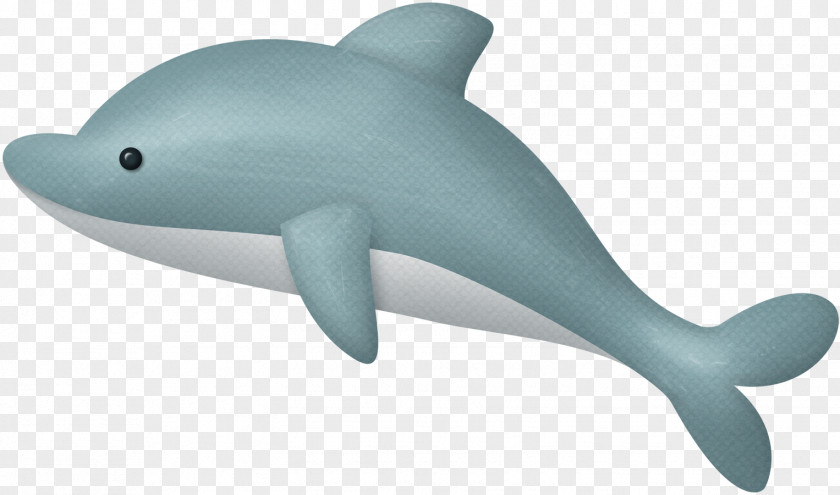 Dolphin Porpoise Tucuxi Common Bottlenose Animal PNG