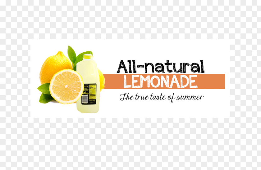 Lemon Lemon-lime Drink Juice Logo Brand PNG