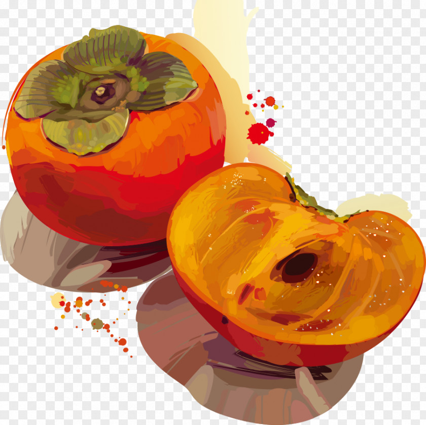 Persimmon Vector Punch PNG