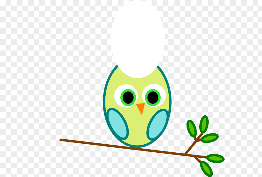 Turquoise Vector Owl Clip Art PNG