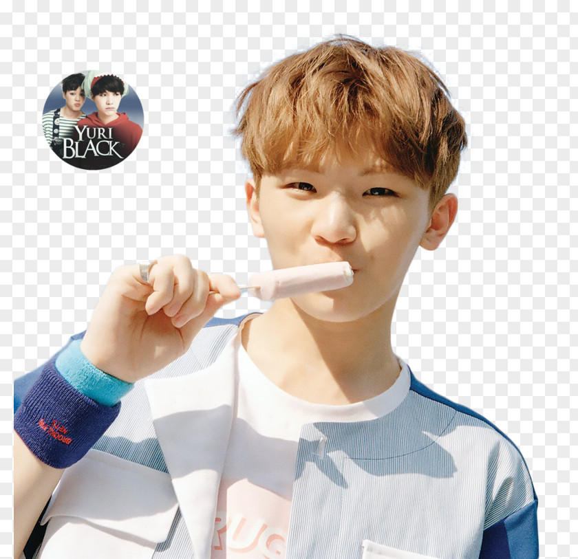 Woozi SEVENTEEN 1ST ALBUM [FIRST ‘LOVE&LETTER’] VERY NICE 17 HITS PNG
