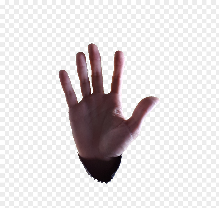 Hand Thumb Model Finger PNG