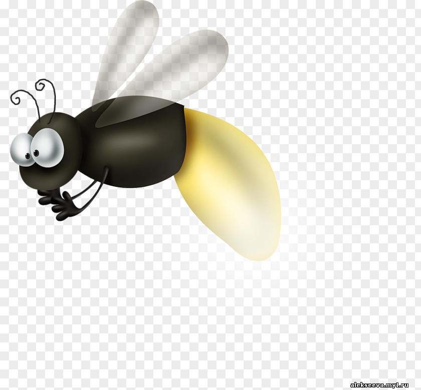 Mosquito Ant Insect PNG